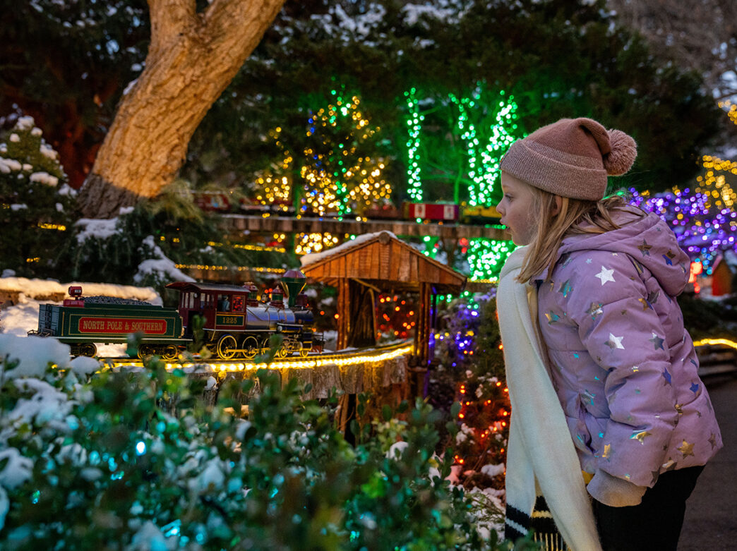 A young child in a winter purple winter coat, hat and scarf watches a model train travel along a snow-dusted track at the Morris Arboretum Holiday Garden Railway.