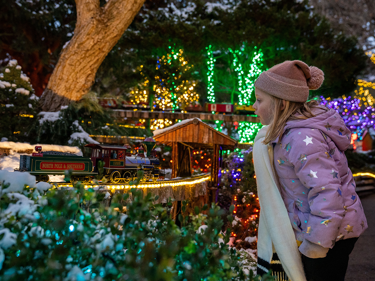 A young child in a winter purple winter coat, hat and scarf watches a model train travel along a snow-dusted track at the Morris Arboretum Holiday Garden Railway.