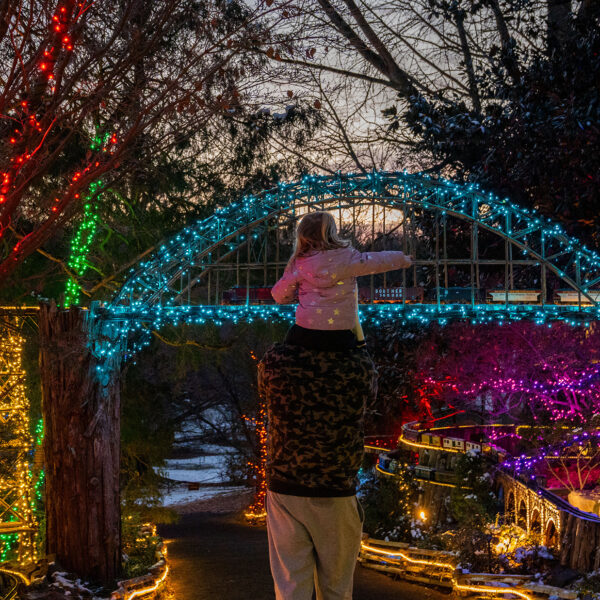 A child sitting on an adult's shoulders points towards a miniature train crossing a bridge covered with blue holiday lights at Morris Arboretum.