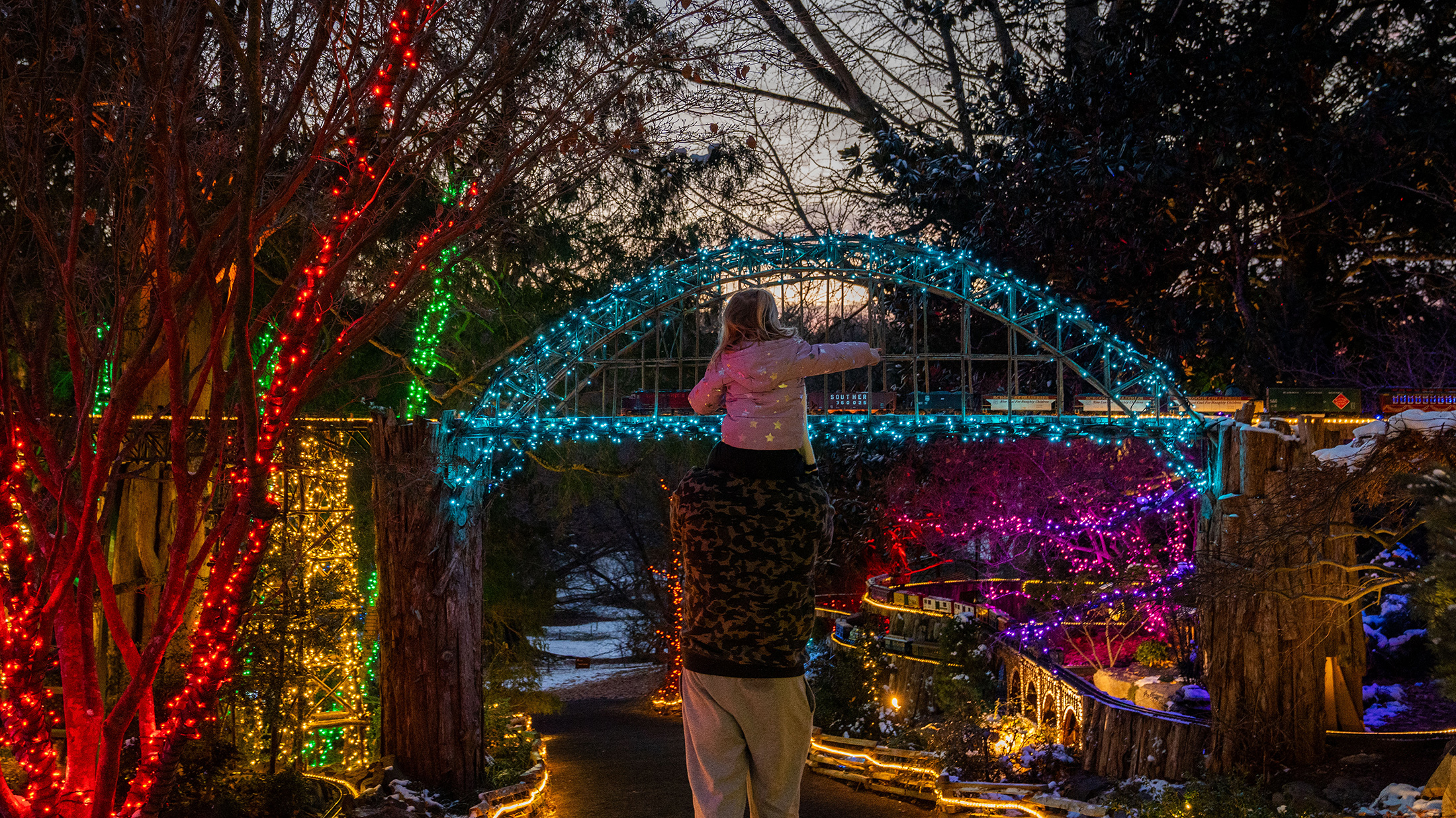 A child sitting on an adult's shoulders points towards a miniature train crossing a bridge covered with blue holiday lights at Morris Arboretum.