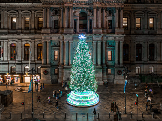 A large Christmas tree in front of City Hall illuminated with bright white and blue lights shines brightly against the facade of City Hall.