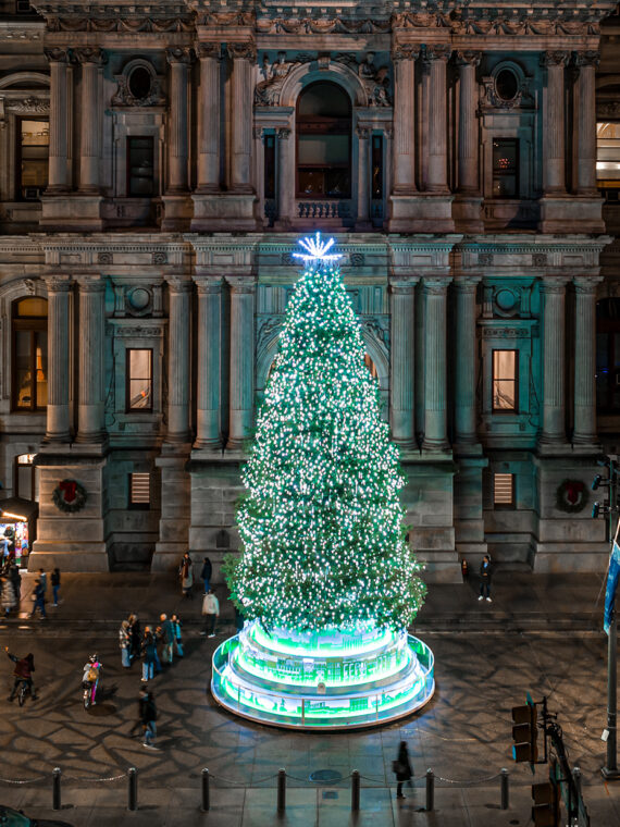 A large Christmas tree in front of City Hall illuminated with bright white and blue lights shines brightly against the facade of City Hall.