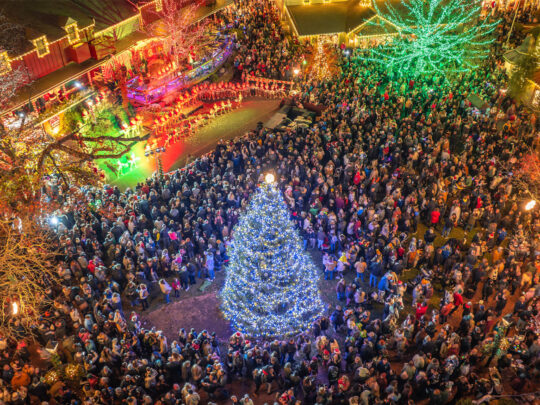 An aerial view of a crowd of visitors gathered around a glowing Christmas tree at Peddler's Village during the Grand Illumination celebration.