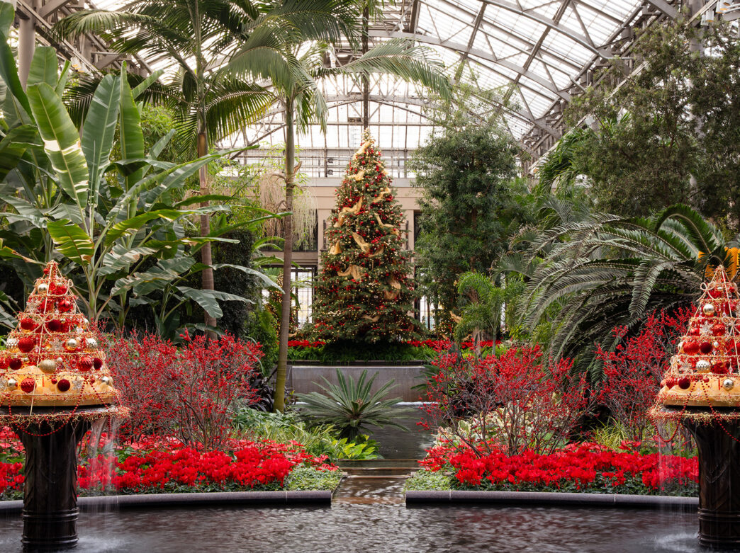 Une serre conservatoire est remplie de plantes tropicales luxuriantes et de fleurs de Noël rouge vif, avec un arbre de Noël décoré et des décorations entourant une fontaine centrale.
