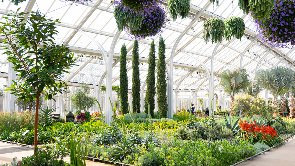 The Best Things to Do in Philly in February 2026 | Visit Philadelphia