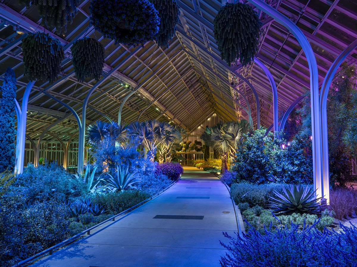 Um conservatório de vidro brilha com luzes azuis e roxas à noite, iluminando plantas exuberantes e uma ampla passarela com palmeiras e vegetação suspensa.