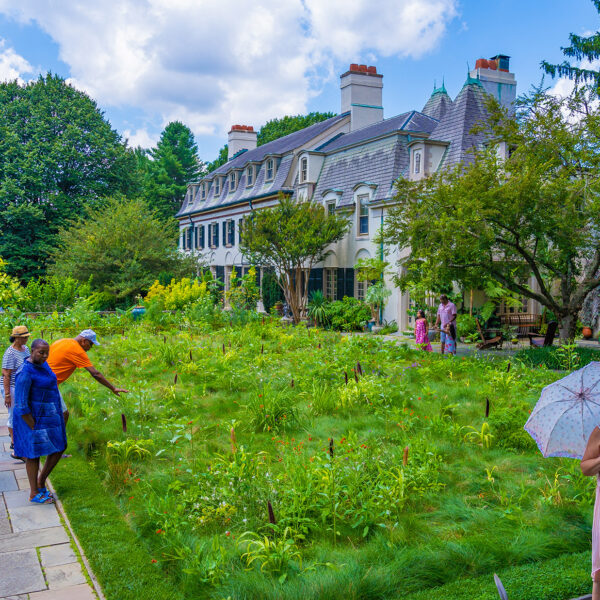 Los invitados, vestidos de manera informal, exploran el frondoso jardín junto a la gran finca histórica.