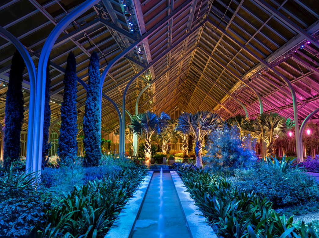 A glass conservatory glows with blue, pink and yellow lighting at night, illuminating lush plants, palms and hanging greenery.