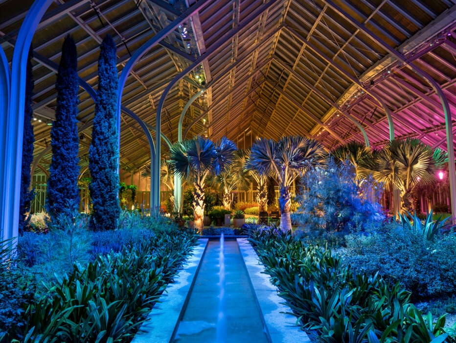 A glass conservatory glows with blue, pink and yellow lighting at night, illuminating lush plants, palms and hanging greenery.