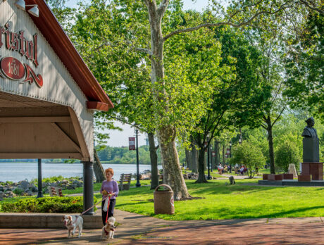 Uma mulher passeia com seus dois cães à beira-mar no Bristol Waterfront Park. O pavilhão branco e vermelho é cercado por árvores de folhagem exuberante.
