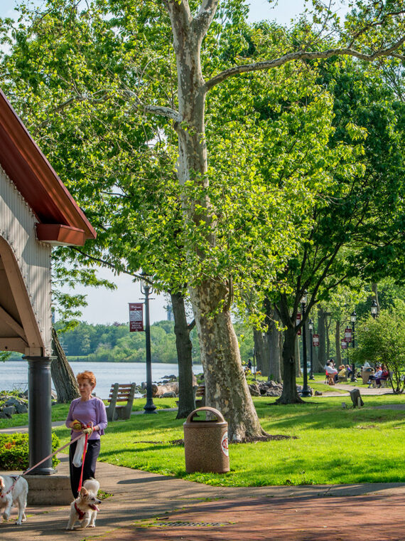 Een vrouw laat haar twee honden uit langs de waterkant in het Bristol Waterfront Park. Het wit-rode paviljoen wordt omringd door weelderige groene bomen.