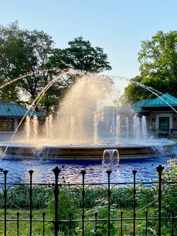 El agua brota de la fuente circular en Franklin Square mientras la luz del sol brilla a través de la niebla, con flores, árboles y edificios del parque rodeando la fuente.