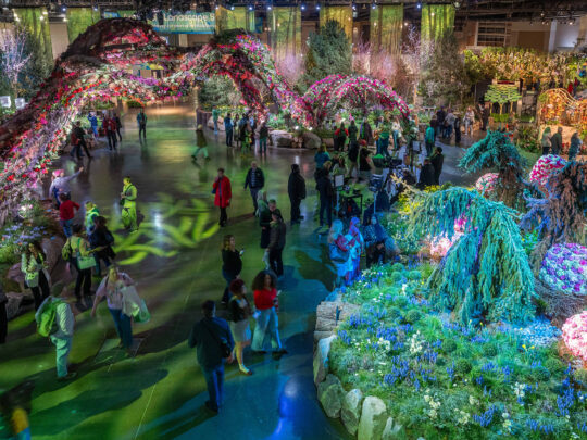 Guests explore elaborate, colorful floral installations and arched garden displays on the show floor at the PHS Philadelphia Flower Show.