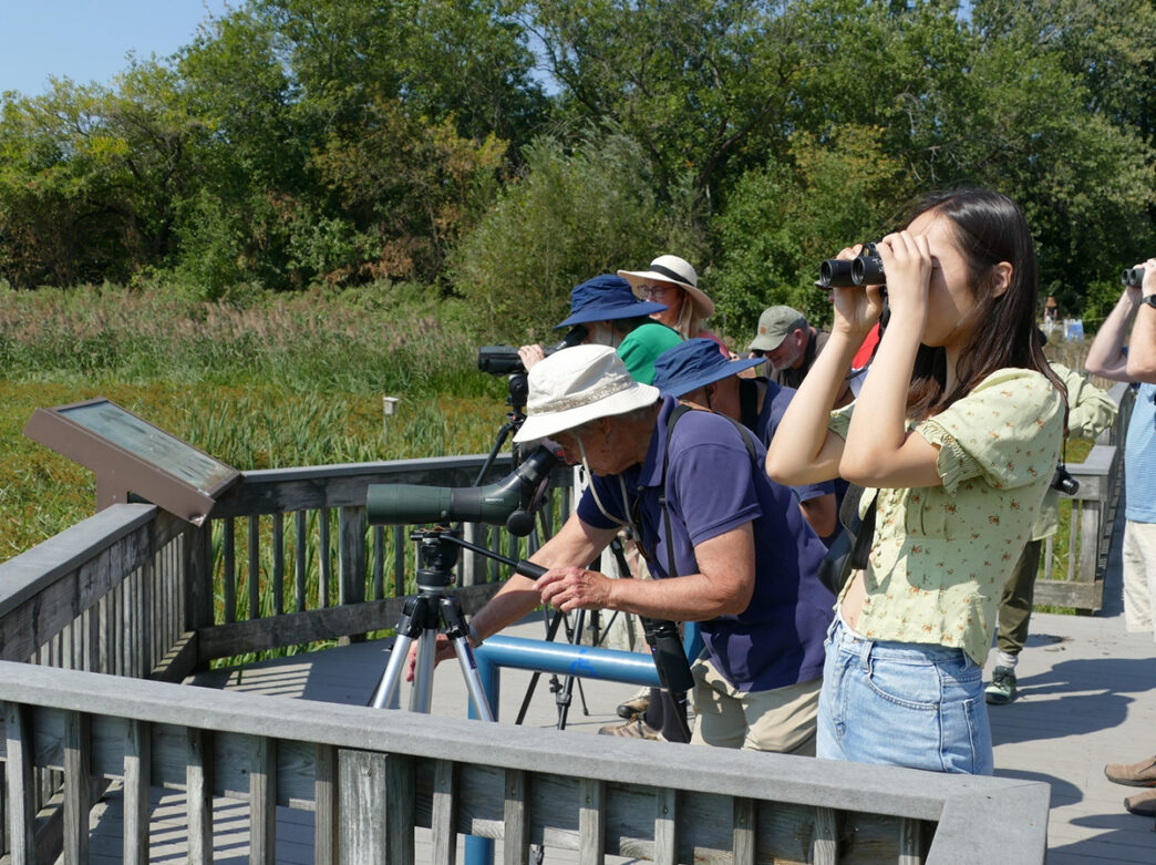 Visitors stand on a wooden observation deck at John Heinz National Wildlife Refuge, using binoculars and scopes to watch birds across the marsh.