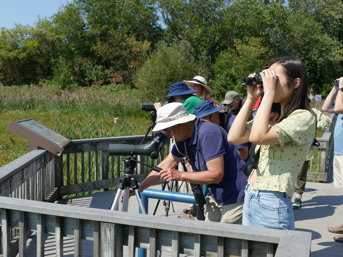 Visitors stand on a wooden observation deck at John Heinz National Wildlife Refuge, using binoculars and scopes to watch birds across the marsh.