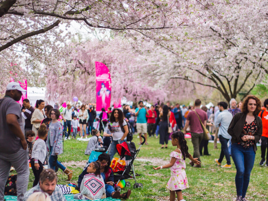 A large crowd of visitors gathers under blooming cherry blossom trees in Fairmount Park during the Subaru Cherry Blossom Festival of Greater Philadelphia, with families, children, and couples enjoying the springtime event.