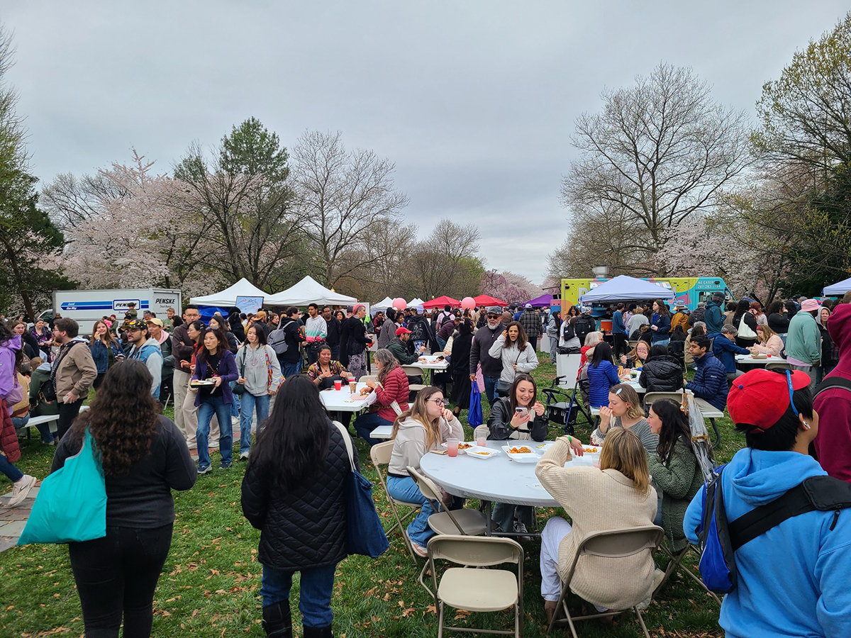 Une foule nombreuse se rassemble parmi les food trucks et les tentes de vendeurs sous les cerisiers en fleurs lors du Cherry Blossom Festival en plein air.