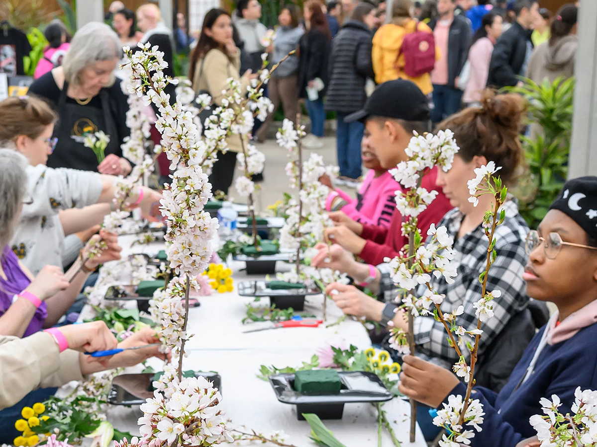 Des personnes sont assises autour de longues tables pour créer des compositions florales ikebana avec des branches de cerisier en fleurs lors d'un atelier pratique.