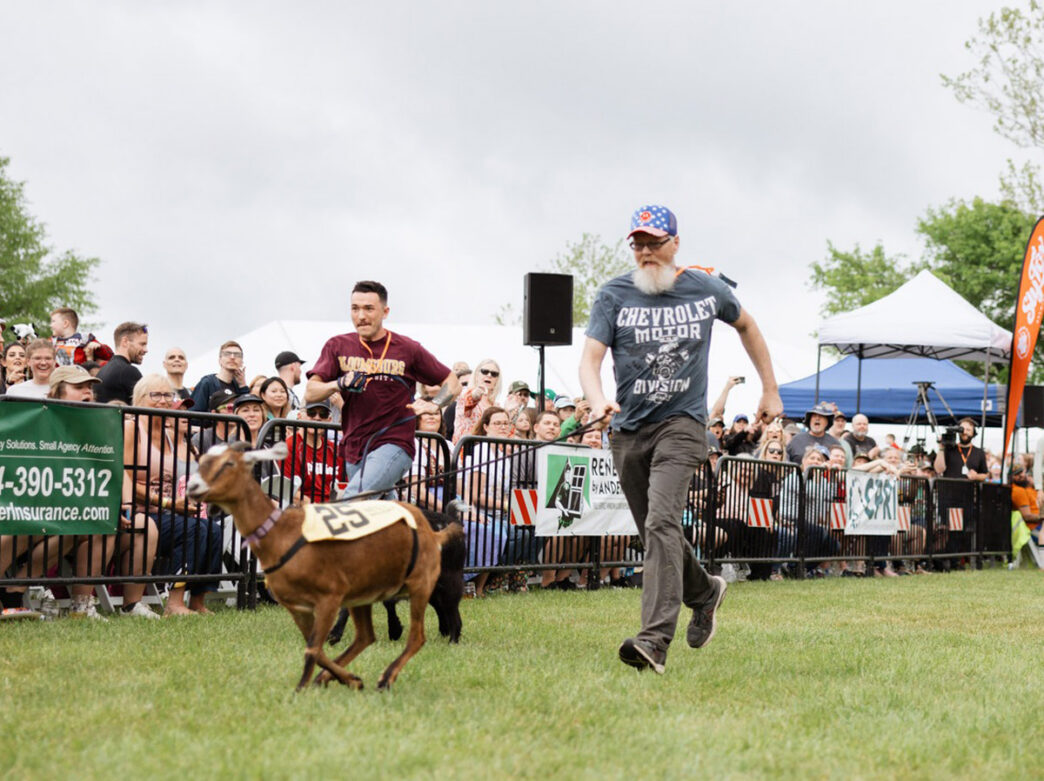 Two competitors race alongside goats on a grass course in front of a cheering crowd at Sly Fox Brewing's annual Bock Fest & Goat Race event.