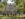 Un grupo de personas se encuentra en el jardín frente a una finca colonial histórica, Cliveden, en Germantown
