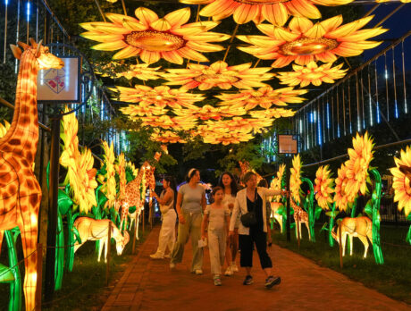 Visitors walk through a glowing tunnel of oversized sunflower lanterns and illuminated giraffe sculptures at the Philadelphia Chinese Lantern Festival at Franklin Square at night. Families explore the colorful pathway lined with animal and floral light displays beneath a canopy of hanging lights.