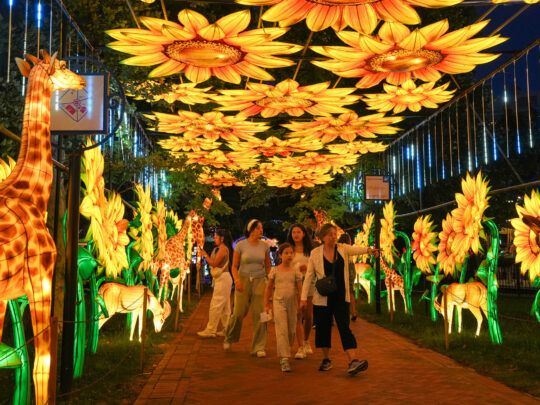 Visitors walk through a glowing tunnel of oversized sunflower lanterns and illuminated giraffe sculptures at the Philadelphia Chinese Lantern Festival at Franklin Square at night. Families explore the colorful pathway lined with animal and floral light displays beneath a canopy of hanging lights.