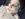 A man wears a white facemask as part of a skincare treatment at 387 Grooming in Philadelphia.