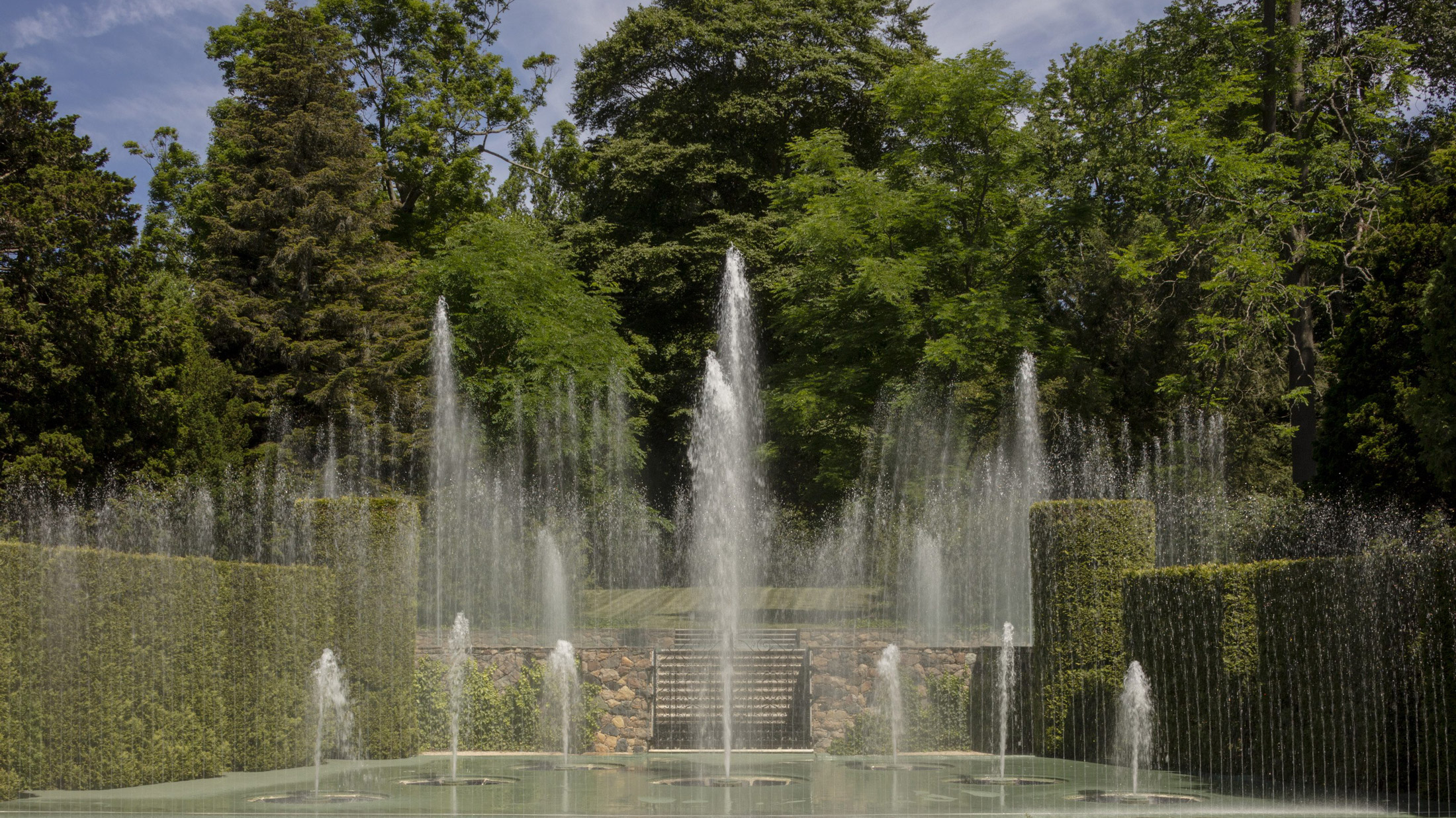 Fountains spout water during an Open Air Theatre Fountain Show at Longwood Gardens, with green hedges bordering the water show.