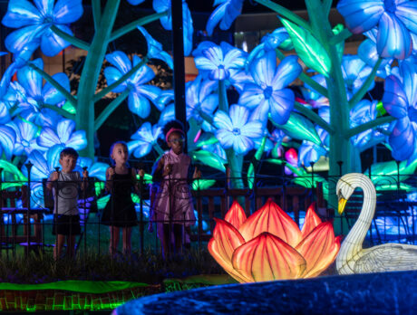 Children stare at a swan and flower lantern, glowing at night on a fountain. Blue lights illuminate the background.