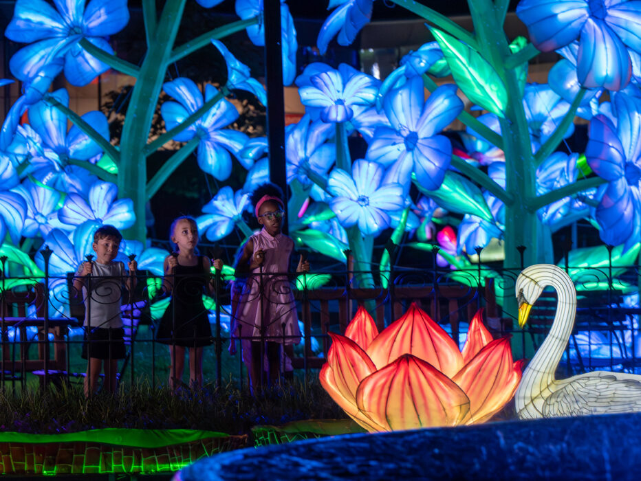 Children stare at a swan and flower lantern, glowing at night on a fountain. Blue lights illuminate the background.