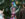 A costumed fairy performer with bright pink hair and iridescent wings creates giant shimmering bubbles amid a crowd ofchildren during Fairy Fest at the Schuylkill Center for Environmental Education.