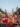 Uma multidão lotada aplaude e levanta as mãos durante o show de 4 de julho na Filadélfia, no Benjamin Franklin Parkway. Os frequentadores do show ficam atrás de barricadas, muitos vestindo roupas patrióticas vermelhas, brancas e azuis, com o horizonte do centro da cidade visível acima da avenida arborizada ao anoitecer.