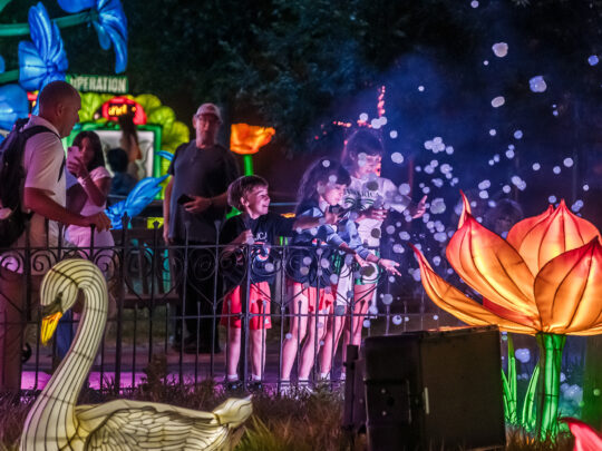 Three children play with floating bubbles beside a glowing lotus flower lantern and a swan lantern during the Philadelphia Chinese Lantern Festival at night.