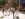 Voetgangers die tijdens het evenement ‘Open Streets: West Walnut’ in Center City, Philadelphia, over een autovrij gedeelte van Walnut Street slenteren.