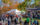 Durante el Festival de la Manzana, la gente recorre los senderos pavimentados entre el colorido follaje otoñal en Peddler's Village, donde hay puestos que venden buñuelos de manzana y otras delicias.