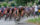Un grand peloton de cyclistes de compétition négocie un virage lors d'une course sur route, tandis qu'un photographe immortalise la scène depuis le bord de la route.