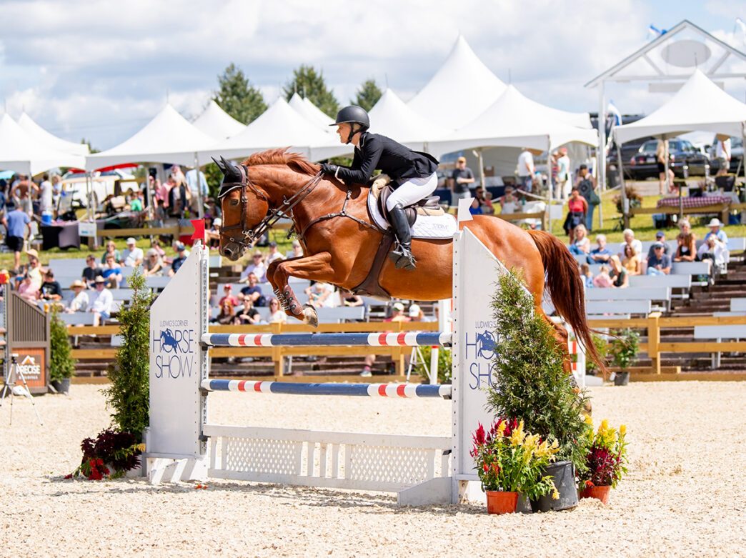 An equestrian rider and chestnut horse leap over a show jumping obstacle during the Ludwigs Corner Horse Show, as spectators watch from the stands.