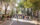 Crowds stroll, gather and relax along a car-free, tree-lined Walnut Street during Open Streets: West Walnut, with outdoor seating, greenery, shops and restaurants lining the route.
