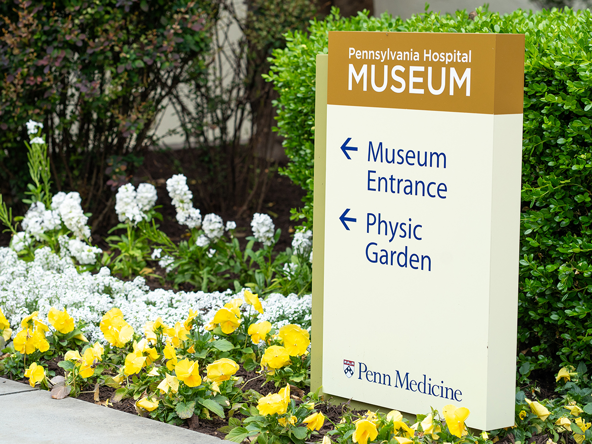 A Pennsylvania Hospital Museum sign points visitors toward the museum entrance and Physic Garden, surrounded by blooming white and yellow flowers.
