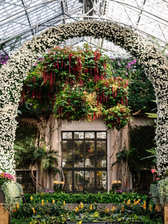 Towering columns and arches covered in yellow and white chrysanthemums frame a lush display inside the glass conservatory at Longwood Gardens.