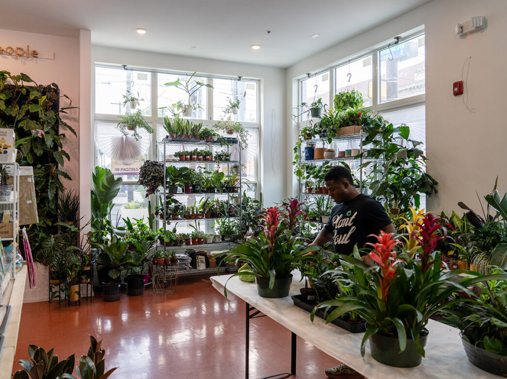 A gentleman dressed in a black t-shirt tends to a plant while surrounded by a vibrant variety of other potted plants at Plant + People.