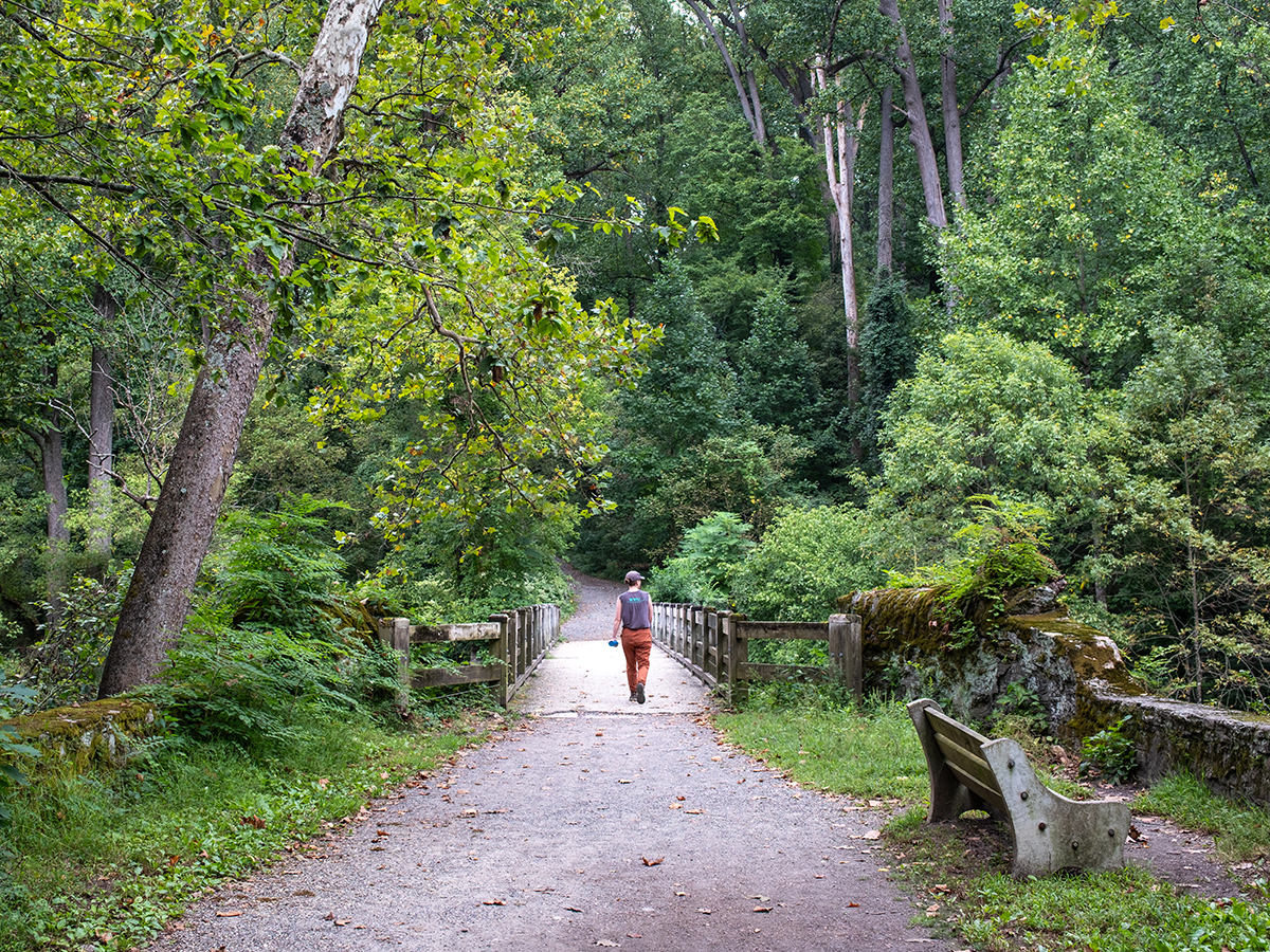 Un visiteur traverse un pont en bois le long d'un sentier de gravier bordé d'arbres, au cœur d'une végétation luxuriante, au parc de la vallée de Wissahickon.