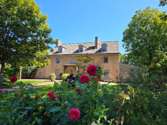 Een historisch stenen huis in Bartram’s Garden wordt op een zonnige dag omringd door weelderige bomen, groen en bloeiende rode bloemen.