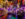 A bar is festively decorated with flowing purple and orange lights, hanging witches' hats, cobwebs, skeletons, pumpkins and other spooky decor at Craftsman Row Saloon.