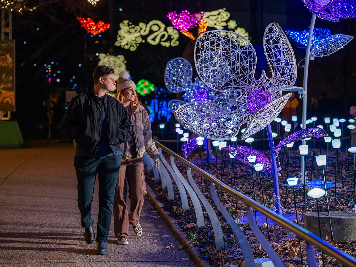 A couple walks along an illuminated pathway at LumiNature at the Philadelphia Zoo, surrounded by glowing purple, blue and white floral light sculptures.