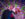 A warmly dressed couple stands inside a tunnel of colorful lights, admiring the beautiful display.