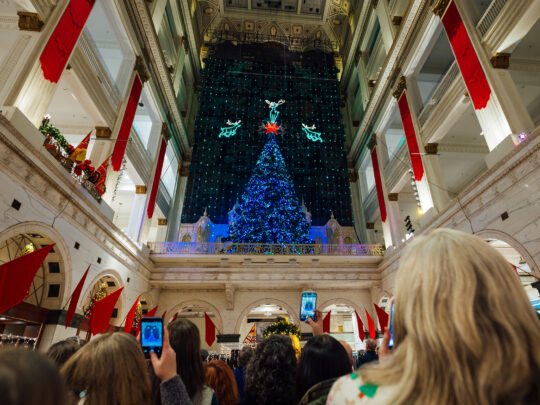 Visitors gather inside a historic building to enjoy the annual holiday light show, featuring a towering glowing Christmas tree, surrounded by illuminated reindeer and festive decorations.