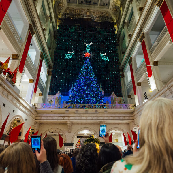 Les visiteurs se rassemblent à l'intérieur d'un bâtiment historique pour admirer le spectacle annuel de lumières de Noël, mettant en scène un immense sapin de Noël illuminé, entouré de rennes lumineux et de décorations festives.