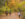 Two horseback riders travel along a leaf-covered trail, surrounded by trees displaying vibrant yellow, orange and green fall foliage, as a jogger approaches.