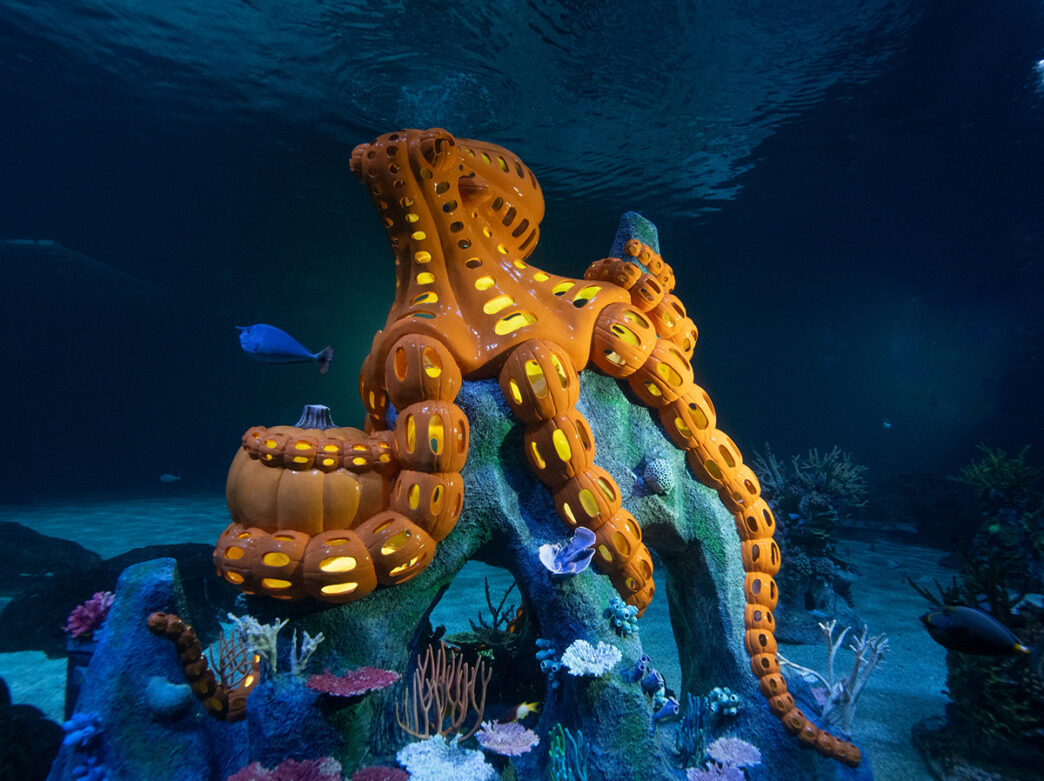 A glowing orange octopus sculpture made from carved pumpkins stretches its tentacle across a coral-covered rock formation inside a dark blue aquarium tank as fish swim nearby.
